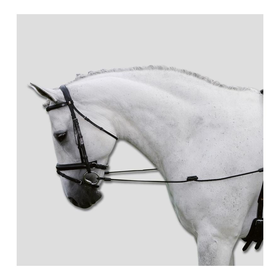Ausbindezügel Elastic