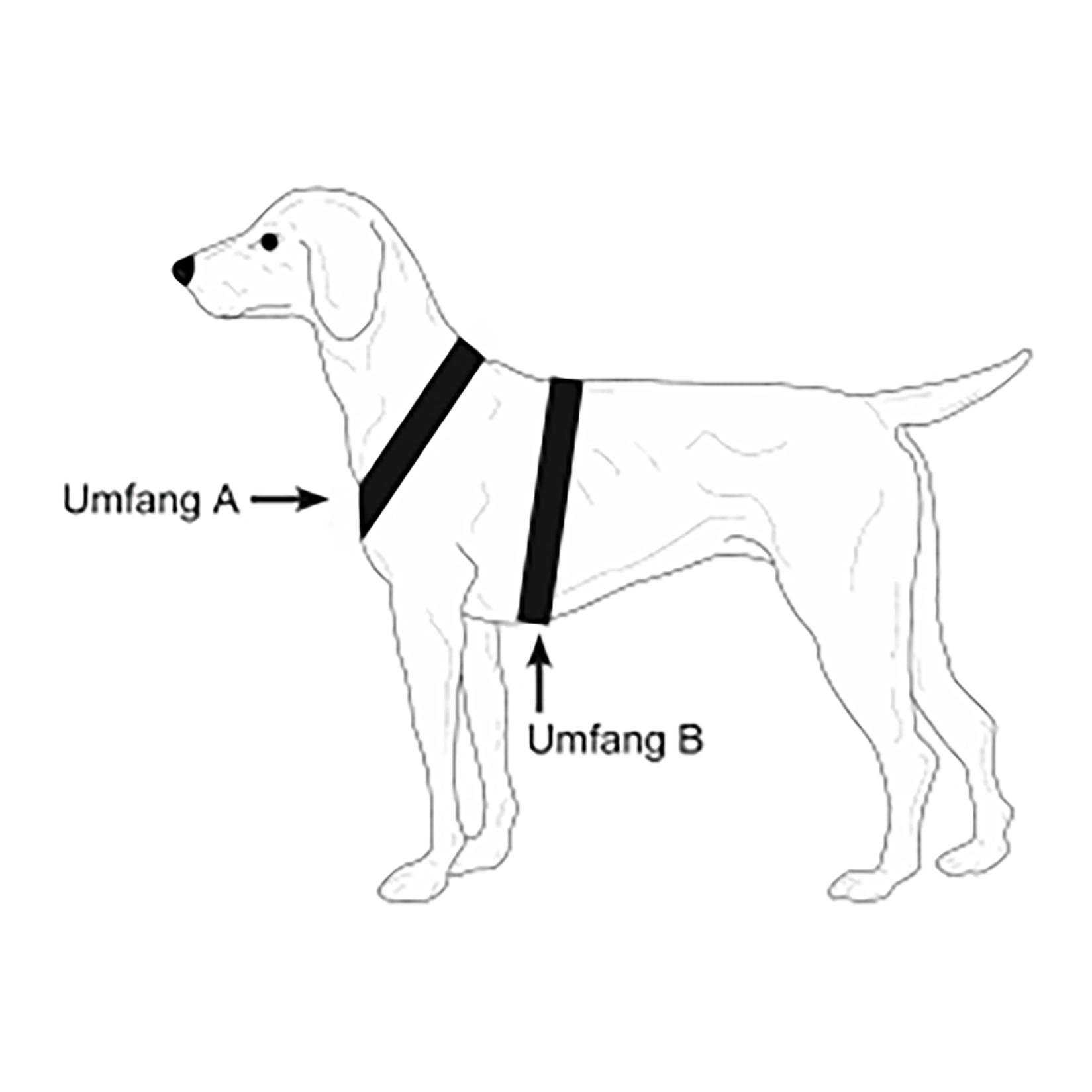 Hundeführgeschirr Follow Sport