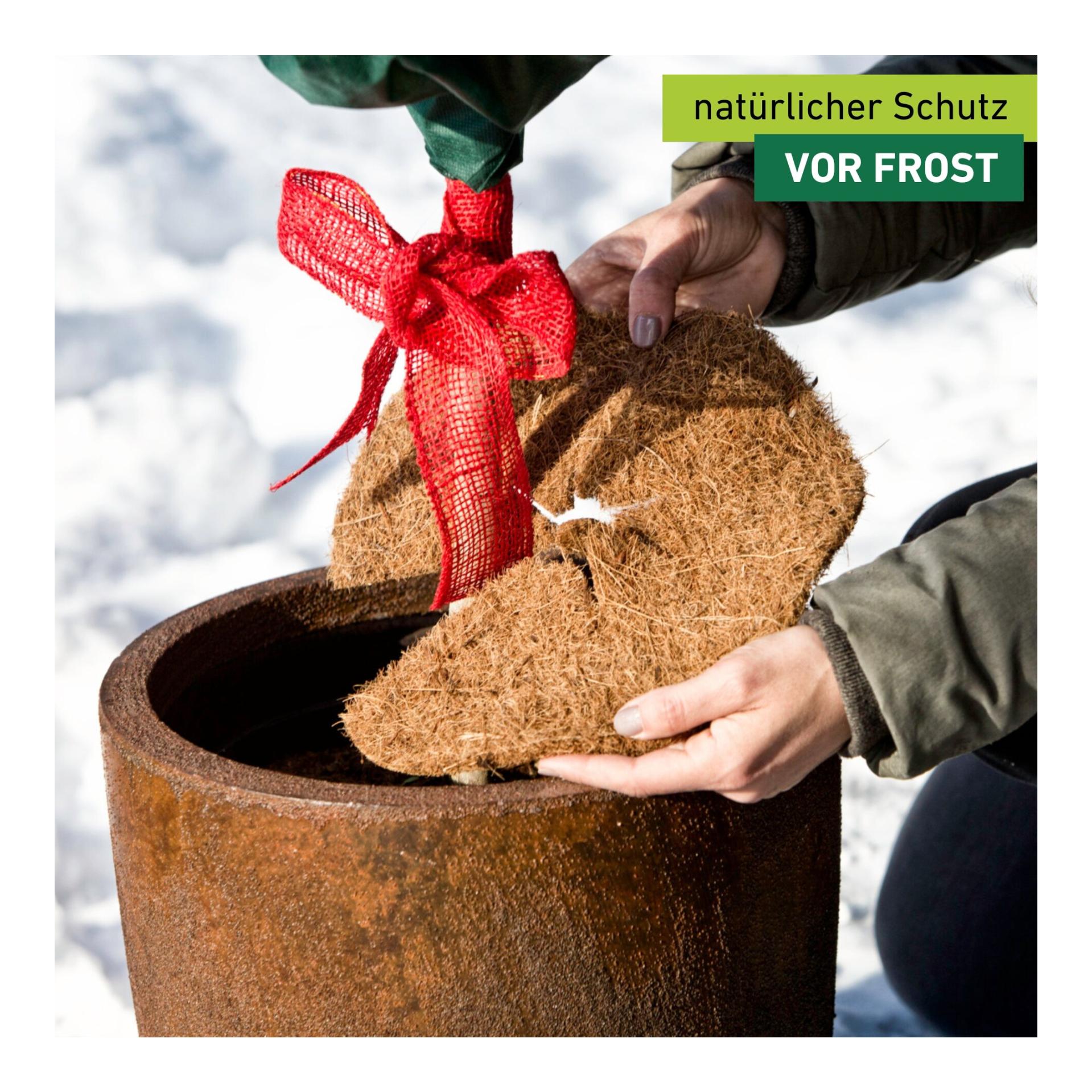 Mulchscheibe Cocodisc Greenline