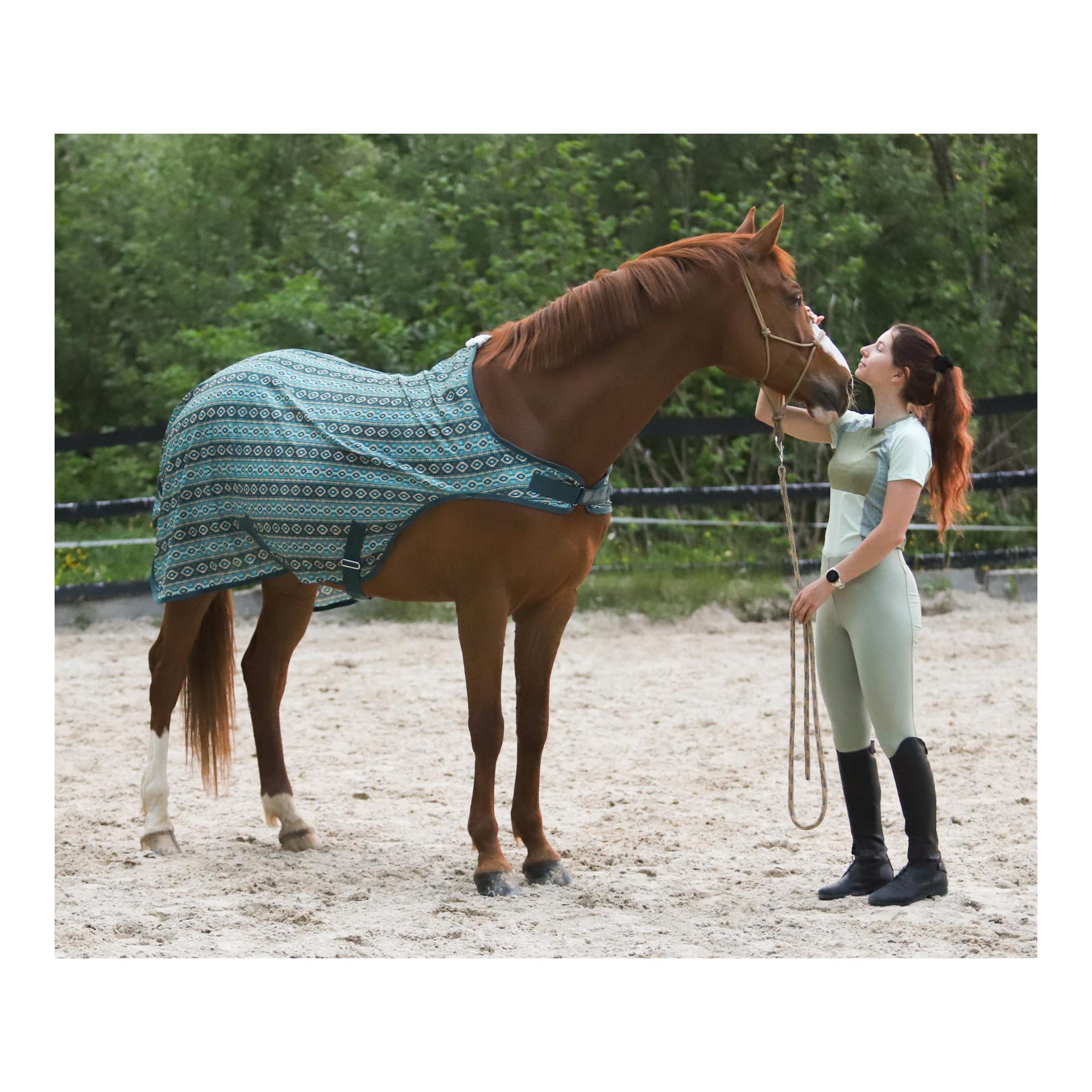 Stallone Walker-Fliegendecke