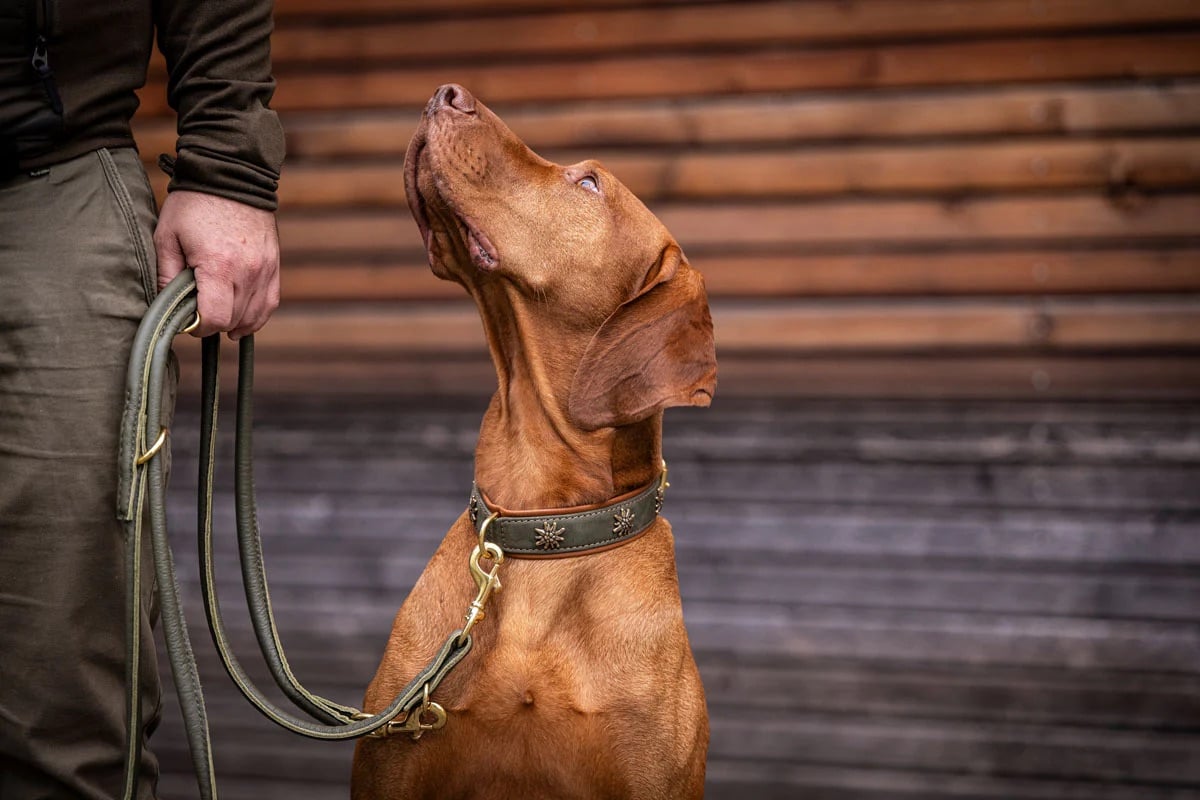 Maul Lederwaren Hundehalsband Bergzauber, Form Edelweiss 
