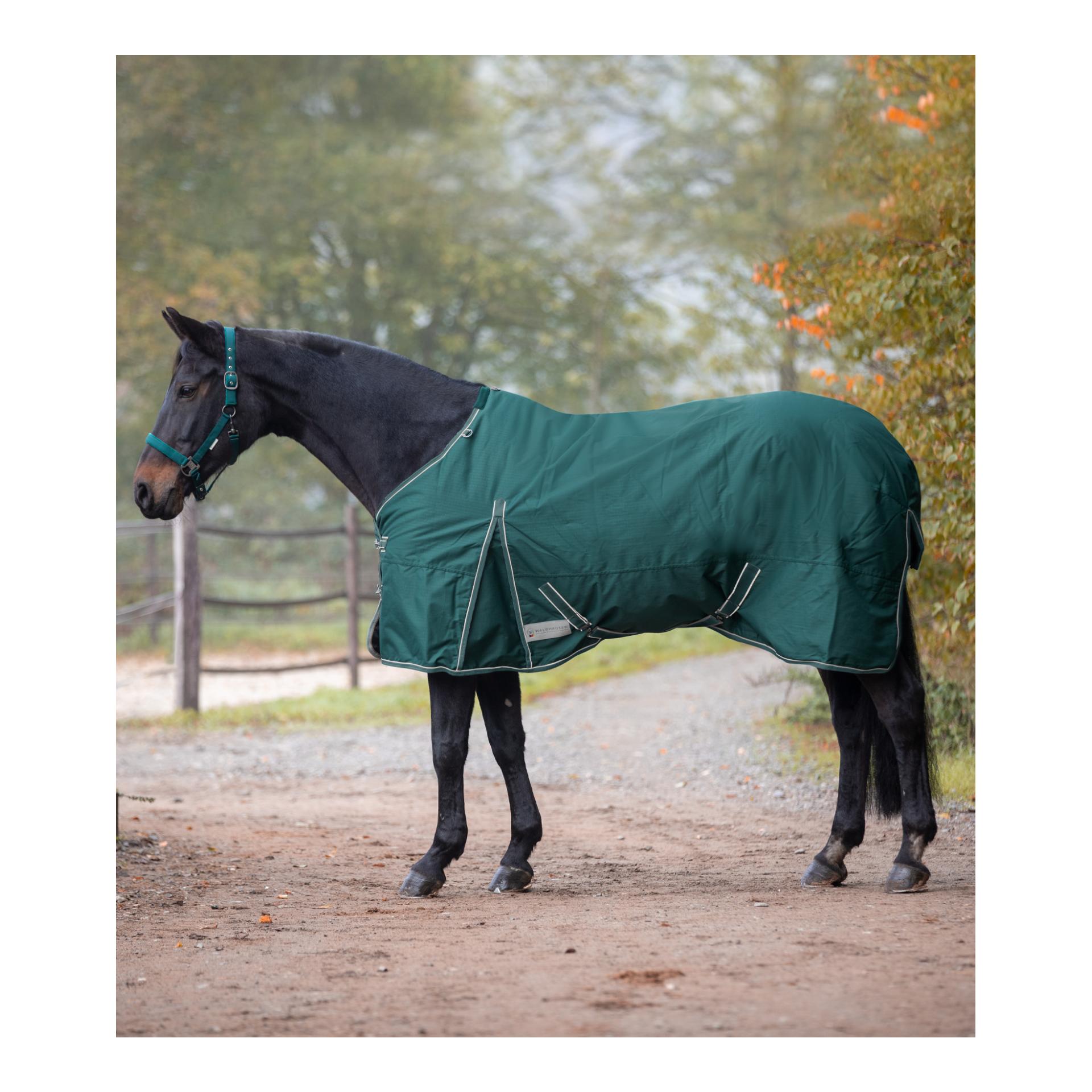 Image of Waldhausen Outdoordecke Economic Fleece 100 g - tannengrün bei Hauptner.ch