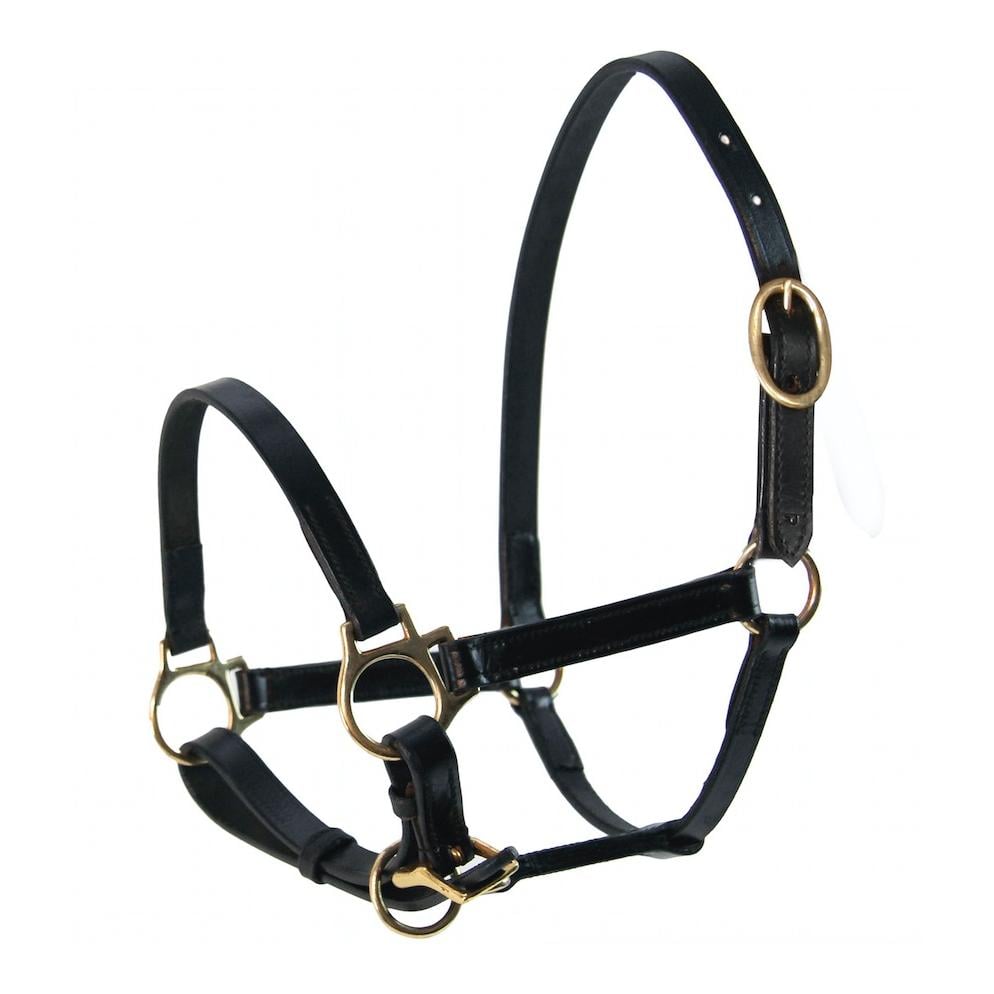 Leder Fohlenhalfter - schwarz