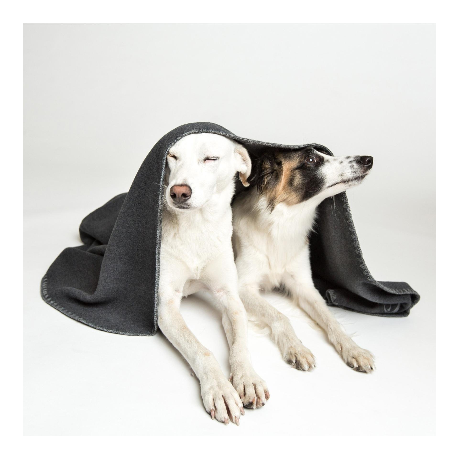 Cloud 7 Hundedecke Soft Fleece - dark grey