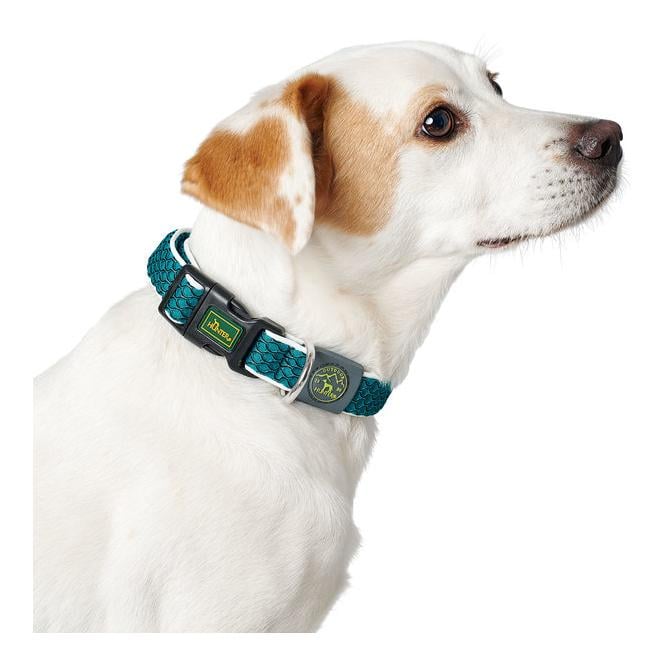 Collier de chien Hilo Vario Basic - citron vert