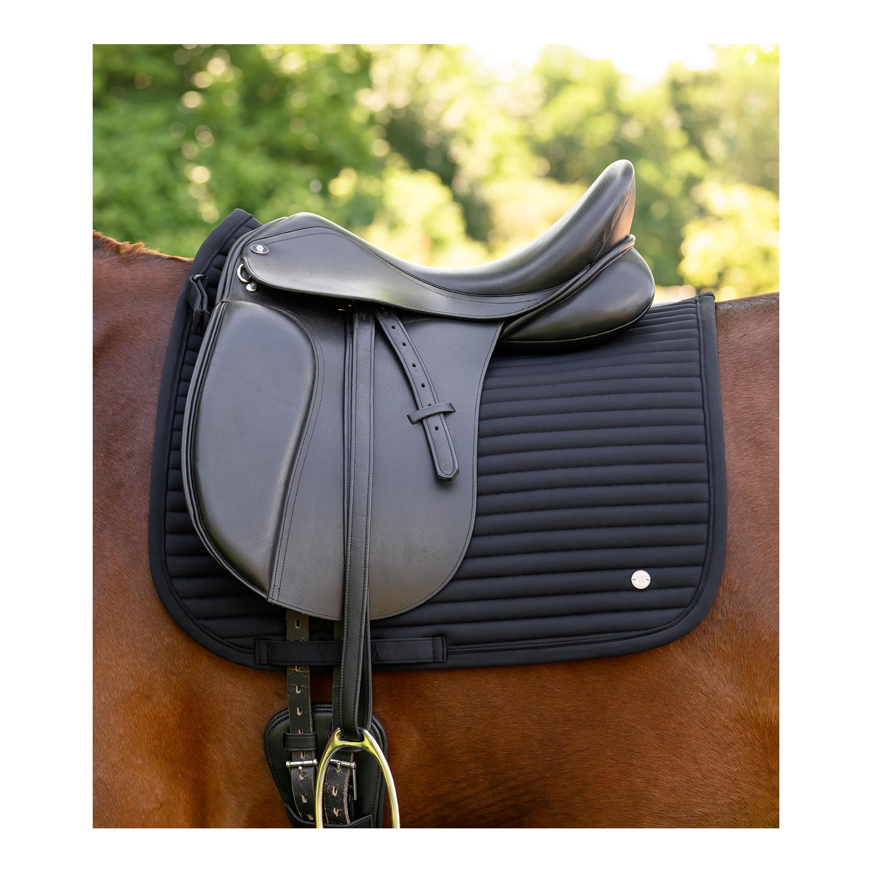 Waldhausen Schabracke Trinidad