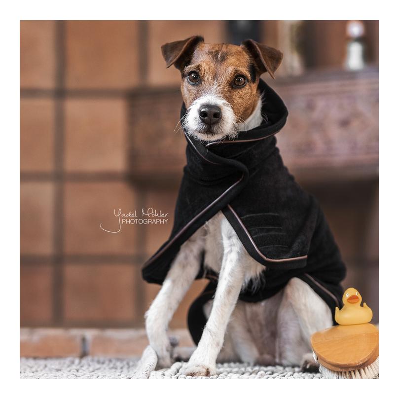 Hundemantel Dog Coat Towel