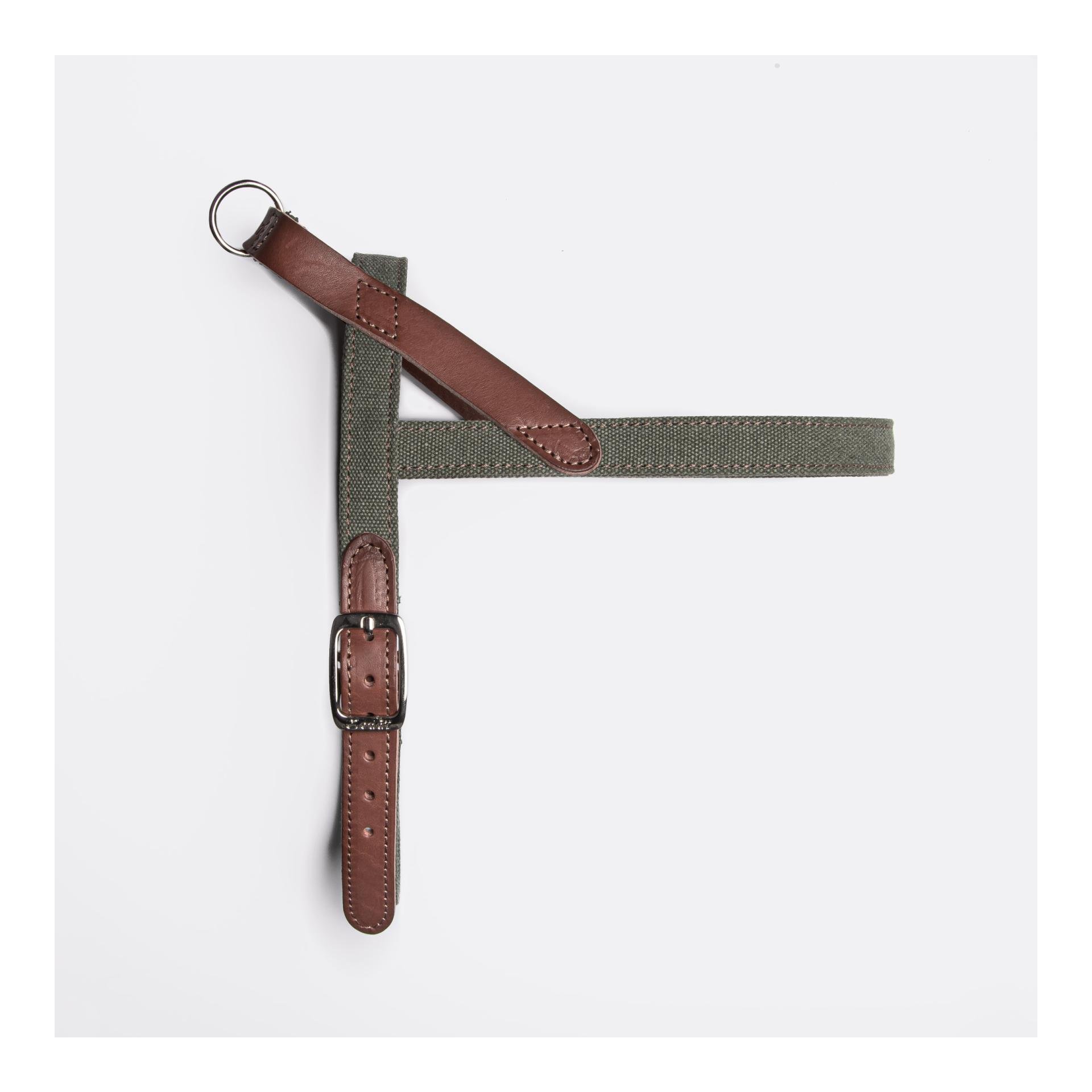 Harnais pour chien Tivoli - olive