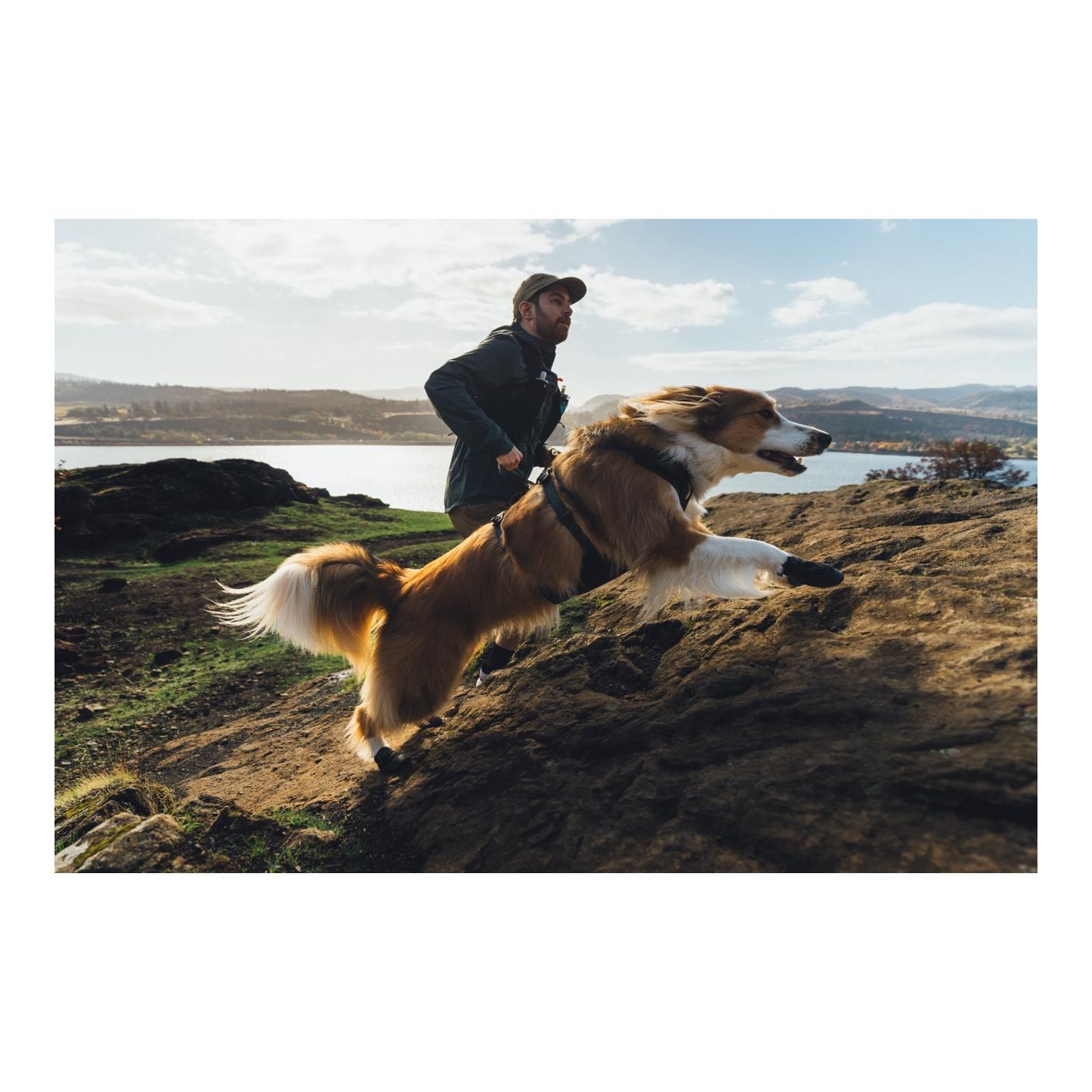 Ruffwear Ridgeline™ Hundehalsband