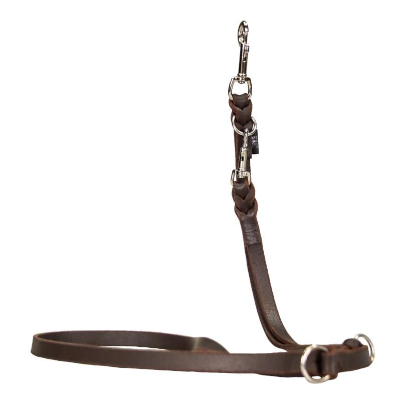 Laisse de chien en cuir gras