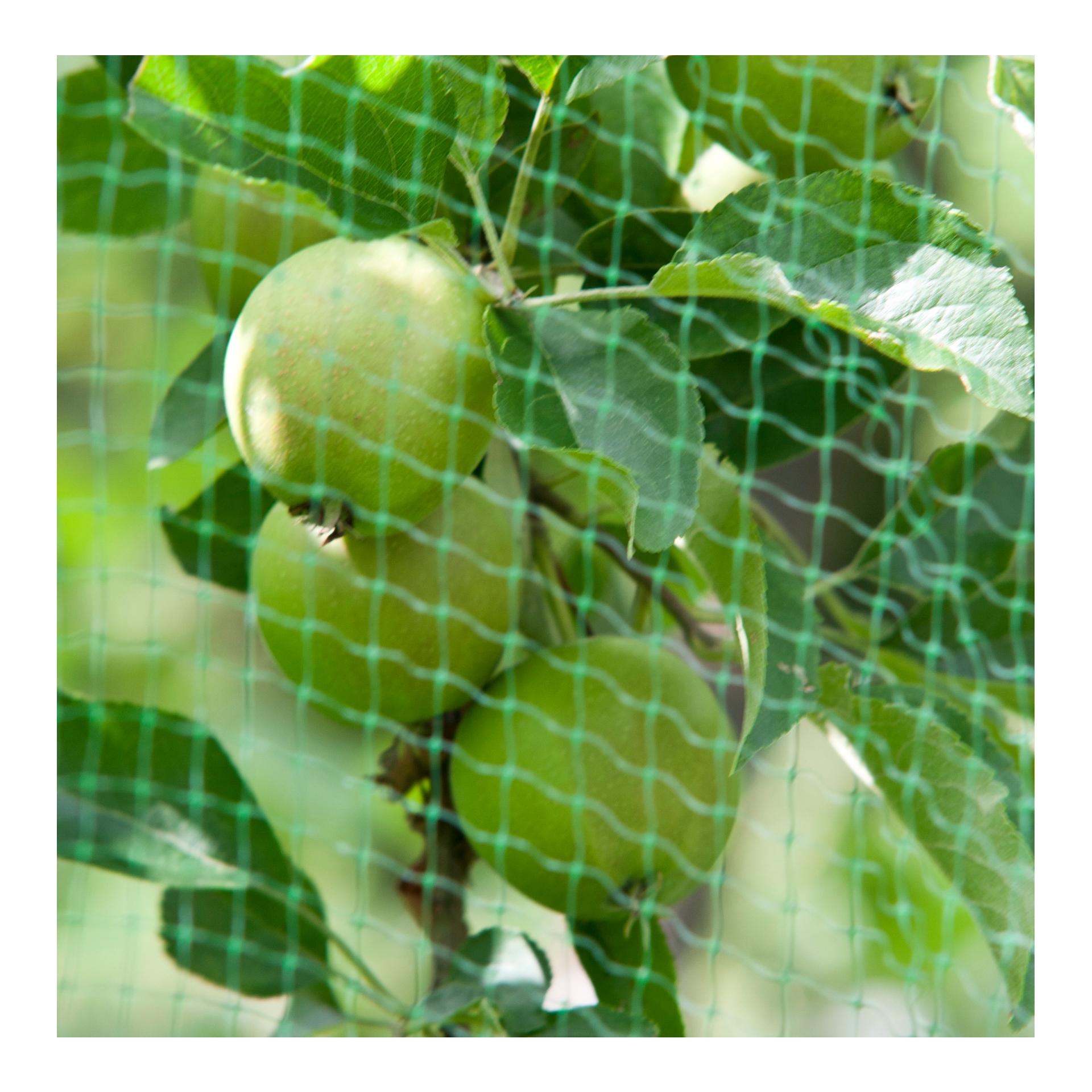 Vogelschutznetz "OrtoNet" - grün