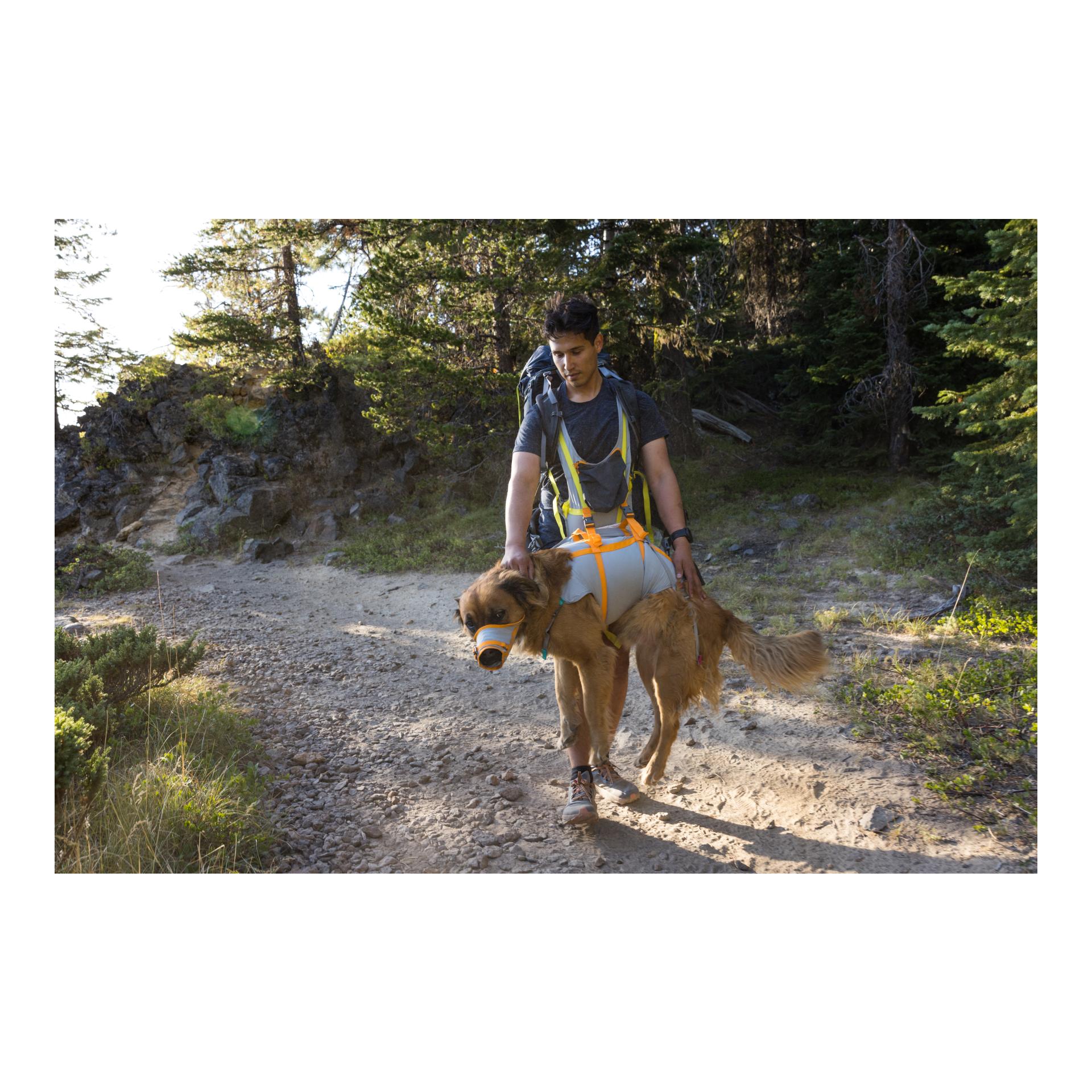 Hundenotfall-Set BackTrak Dog Evacuation Kit