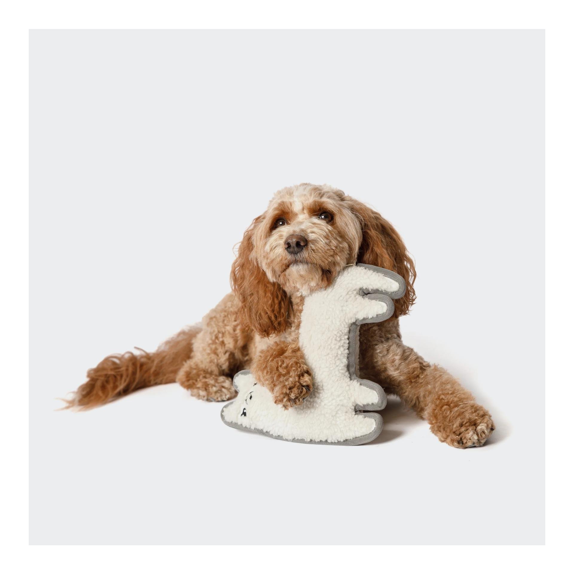 Hundespielzeug Lama Lotte