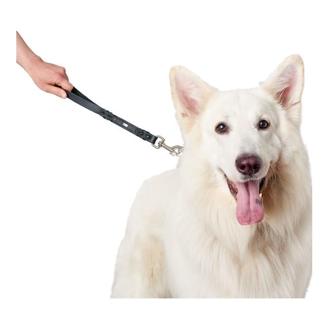 Kurzführer Solid Education - leder/schwarz