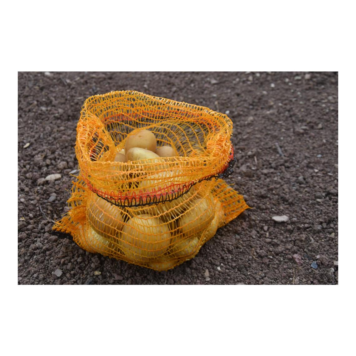 Kartoffelsäcke / Obstsäcke ohne Zugband - 100 Stück