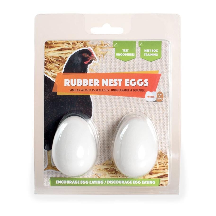 Œufs factices en argile