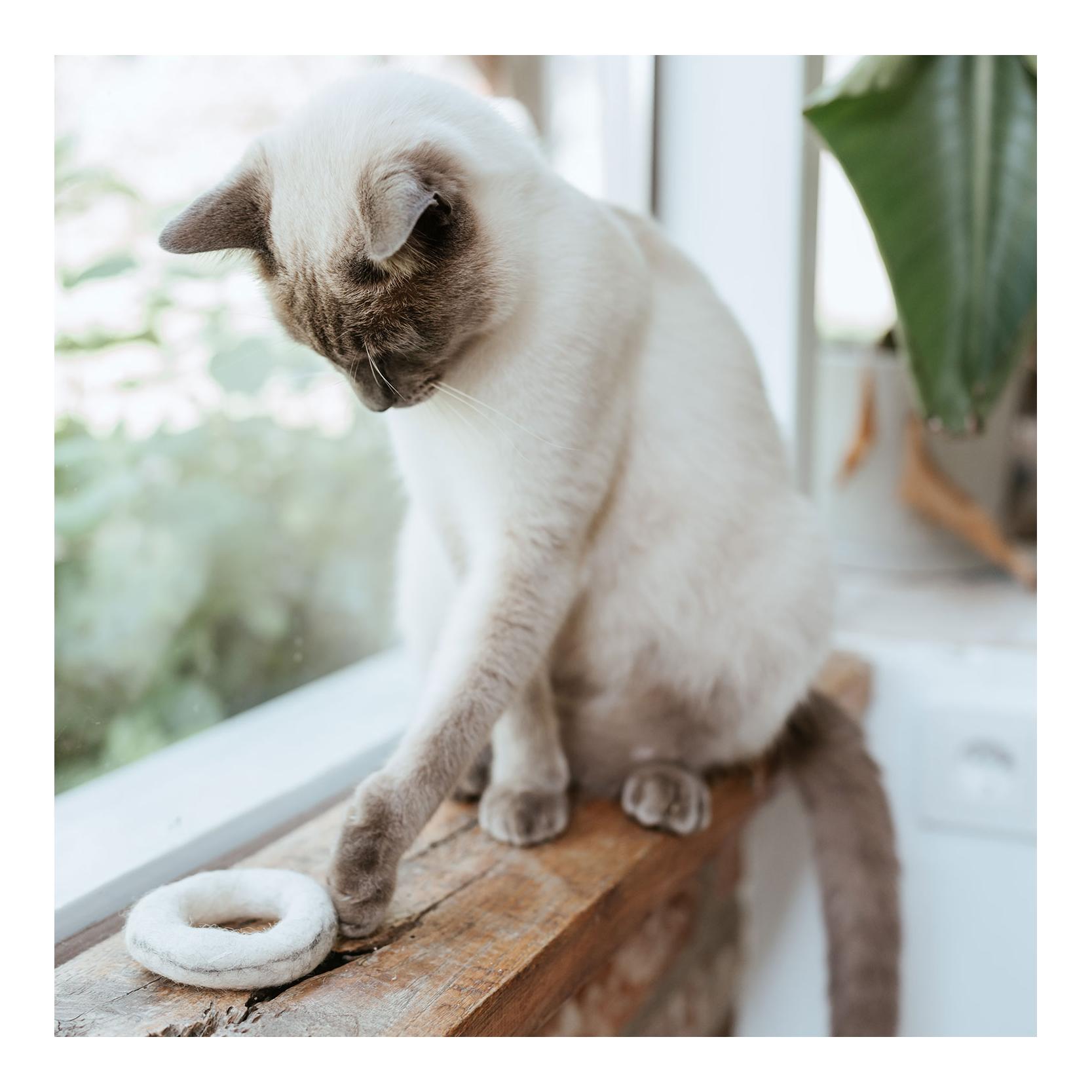 Katzenspielzeug Filzring