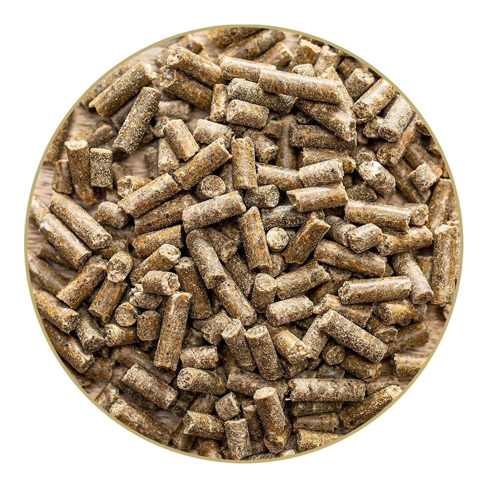 St. Hippolyt High Performer 