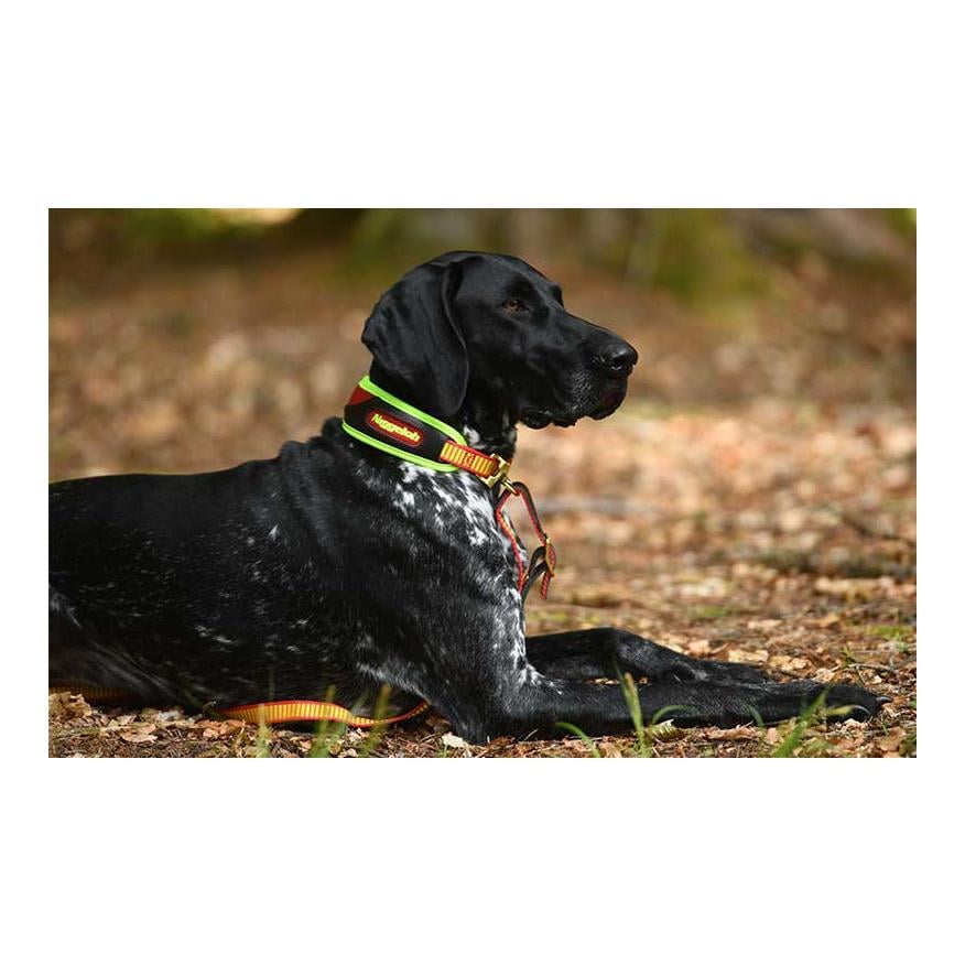 Schweisshalsung Trail