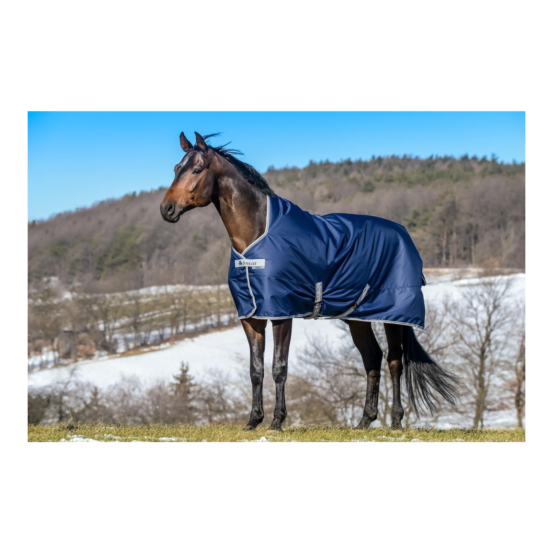 Weidedecke Freedom Turnout High Neck Light - navy/silver