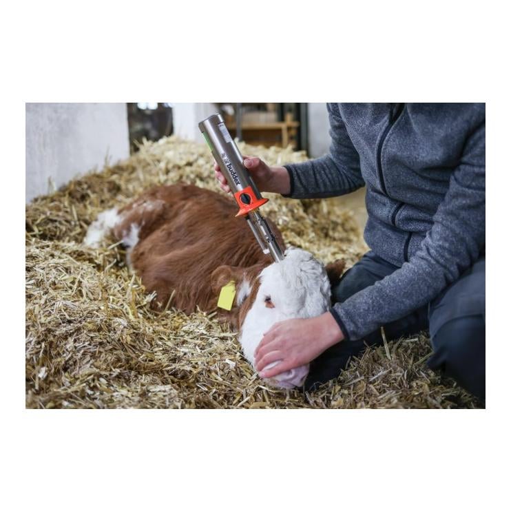 Heissluftenthorner AirBuddex