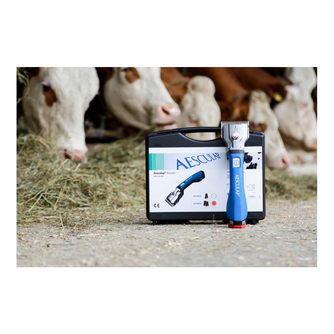 Akkuschermaschine Bonum Rind inkl. 1 Akku - blau