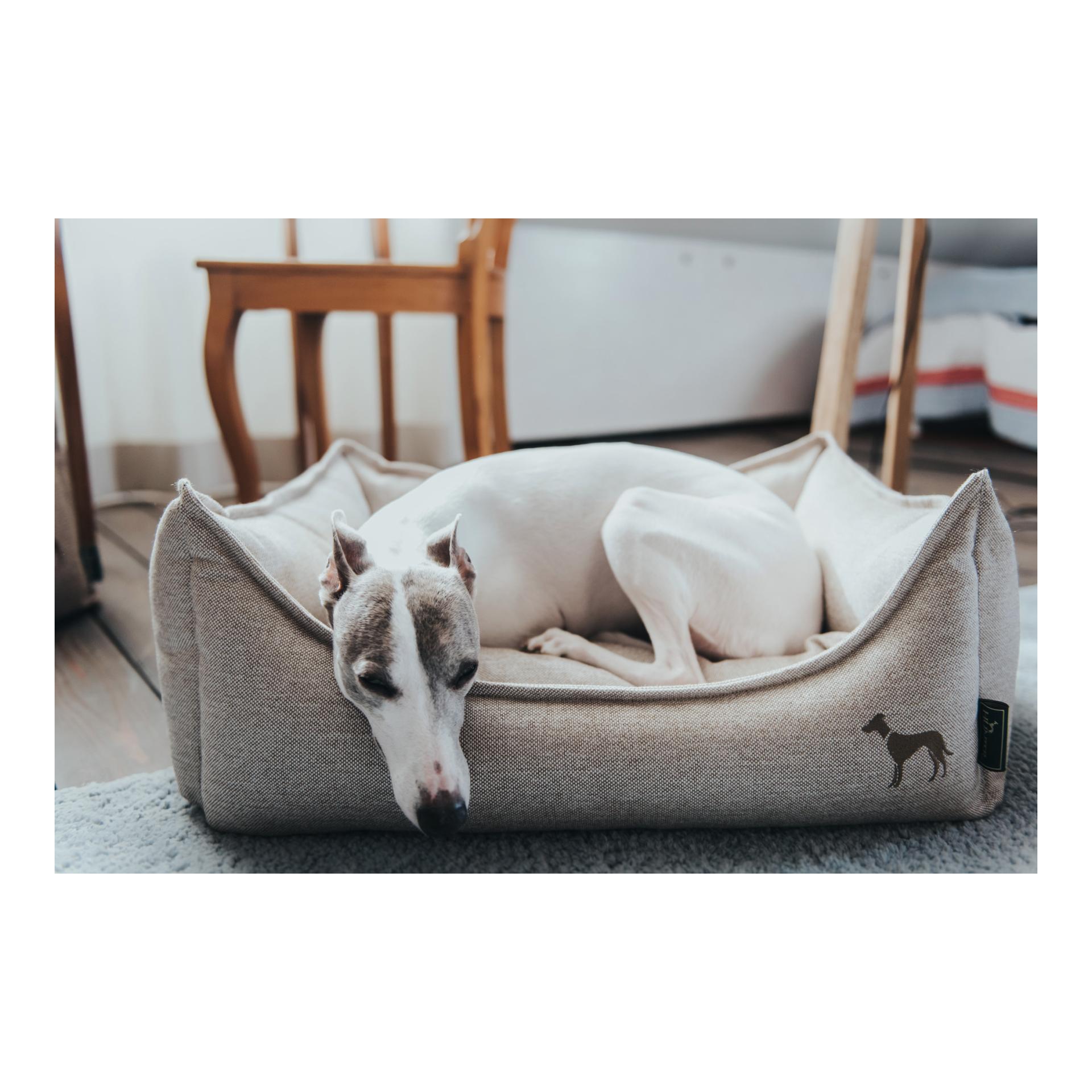 Canapé pour chien Livingston tissu - beige