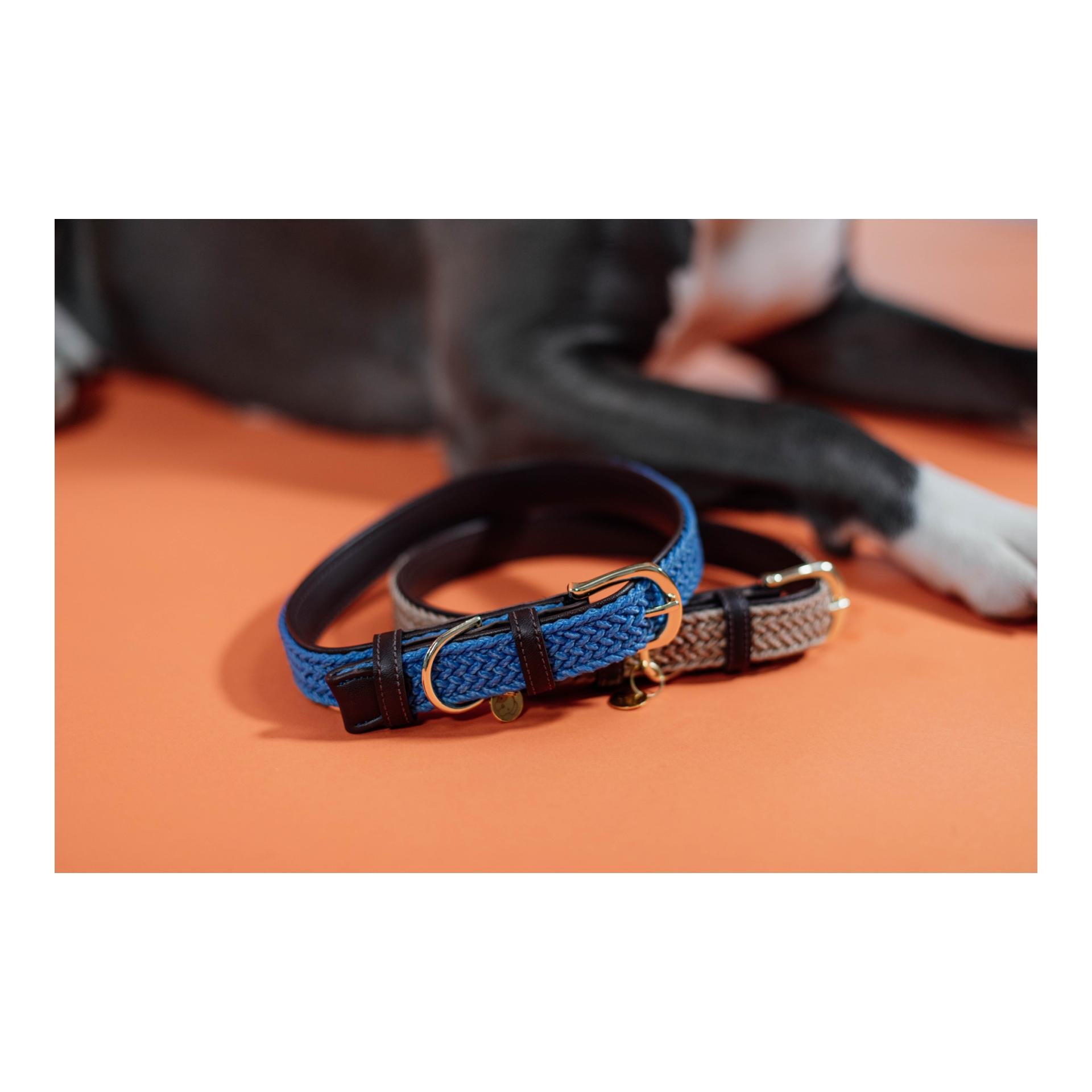 Hundehalsband Nylon geflochten