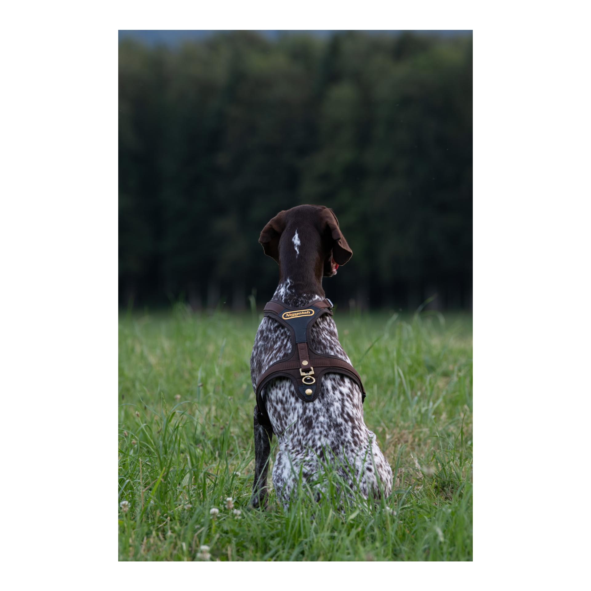 Hundeführgeschirr Follow