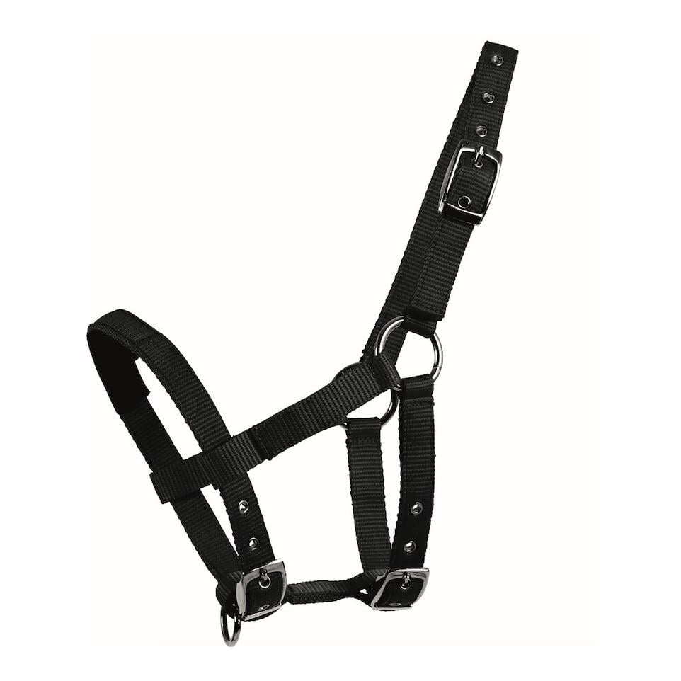 Mini-Shetty Halfter - schwarz