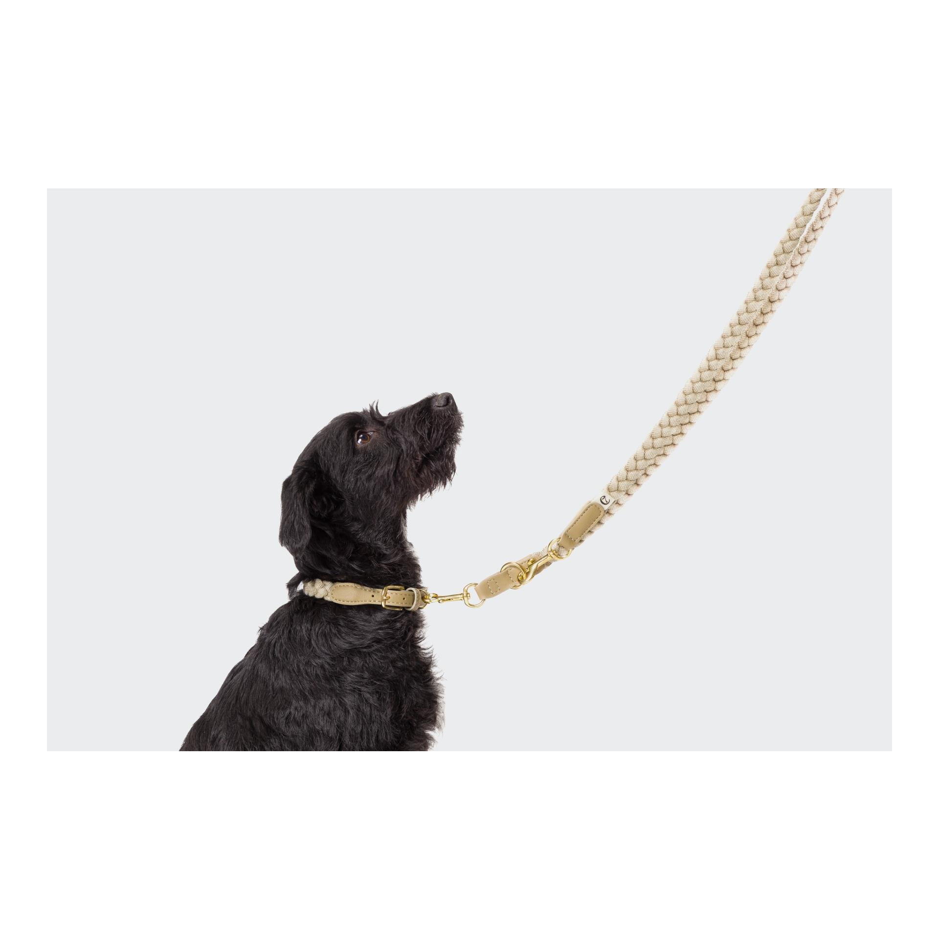 Hundehalsband Blomen