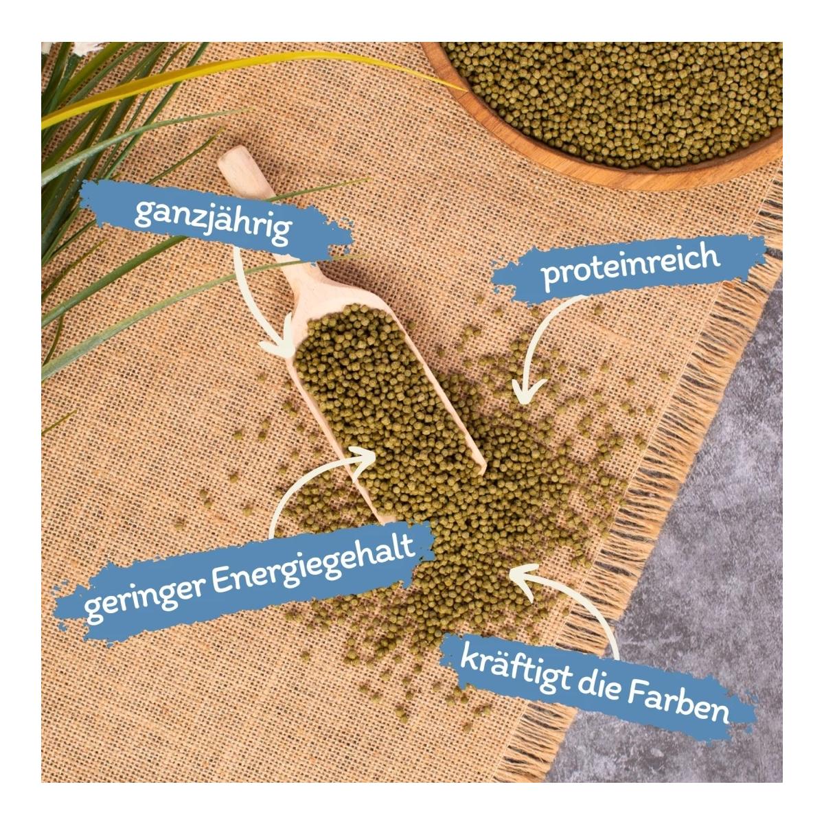 Pond Koi Beauty Pellets Staple (3.0 mm) Fisch und Teichfutter