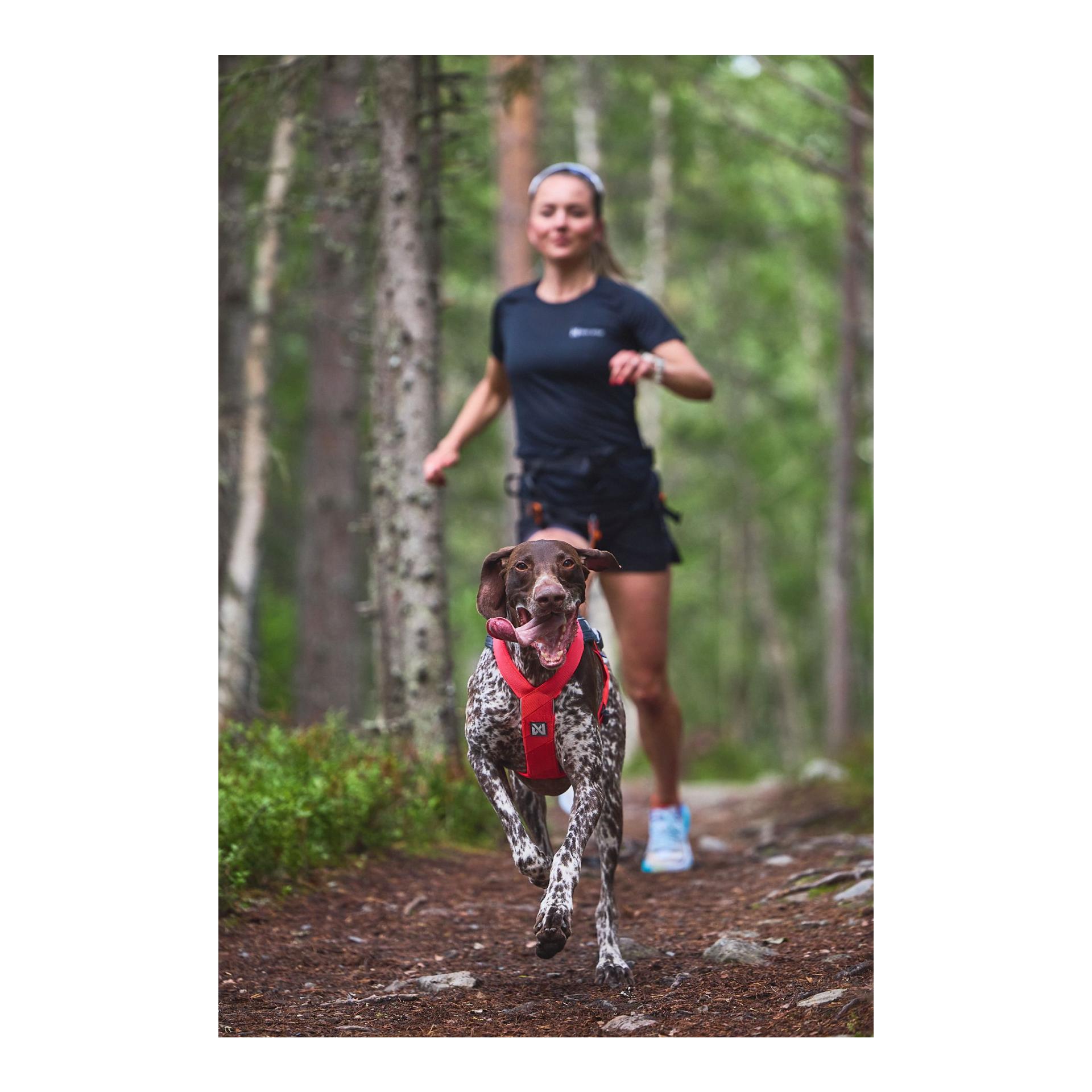 Zuggeschirr Freemotion Harness 5.0