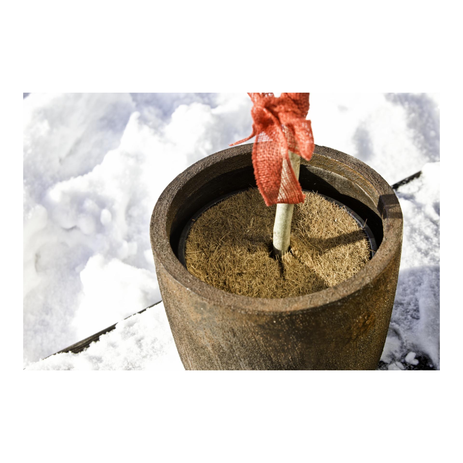 Mulchscheibe Cocodisc Greenline