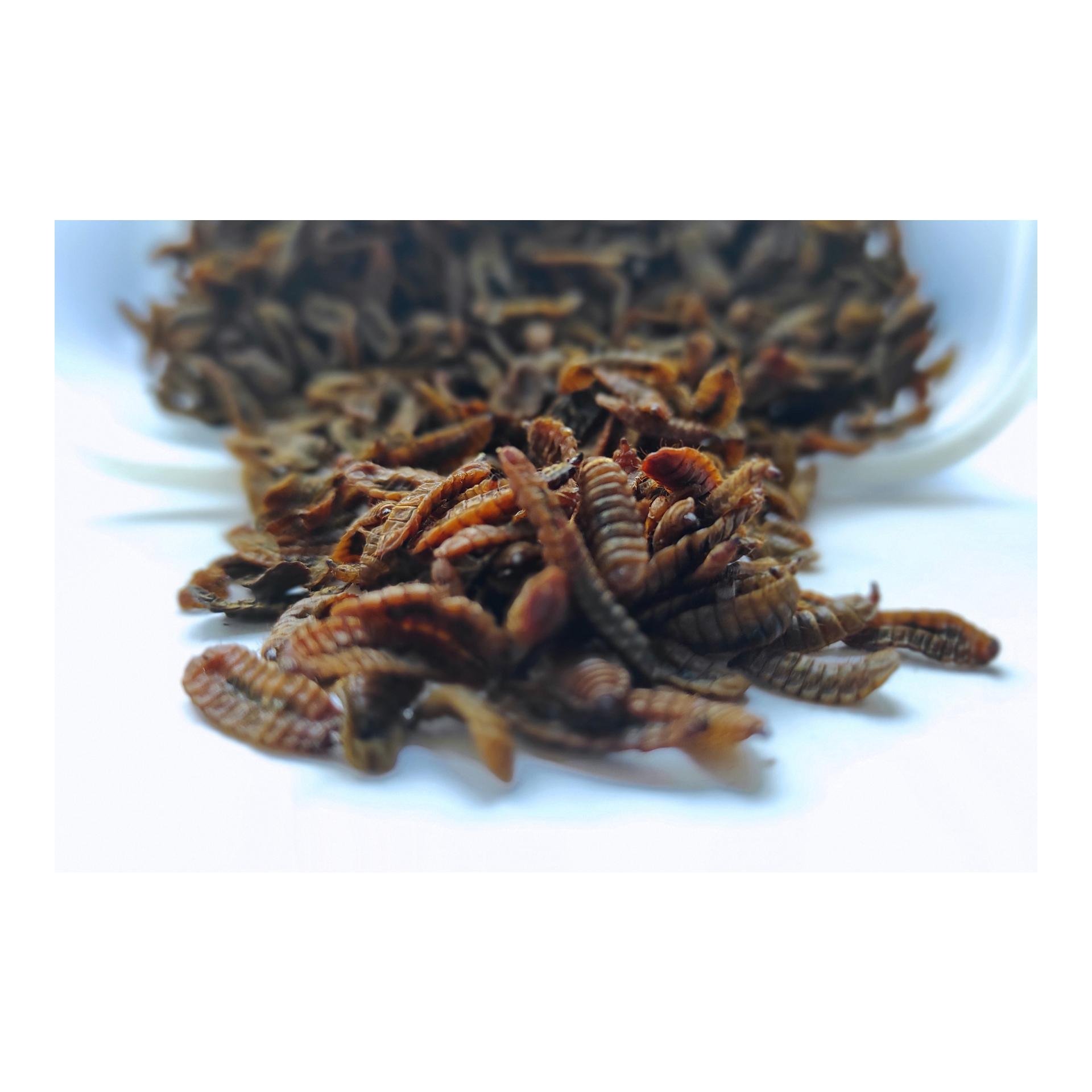 Luftgetrocknete Schwarze Soldatenfliegenlarven