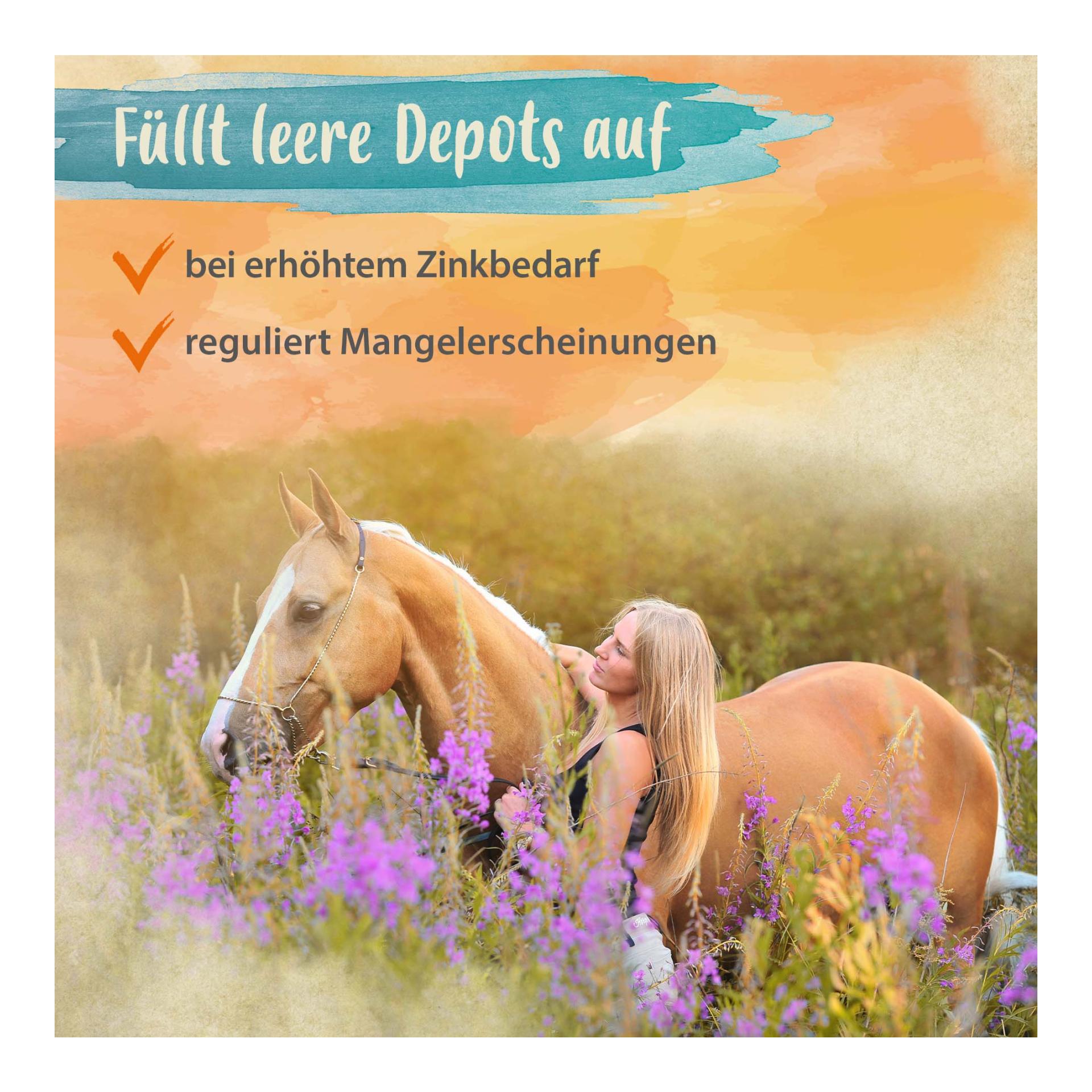 Biotin + Zink für Pferde - hochdosiert - verbessert Hufqualität & Hufwachstum 