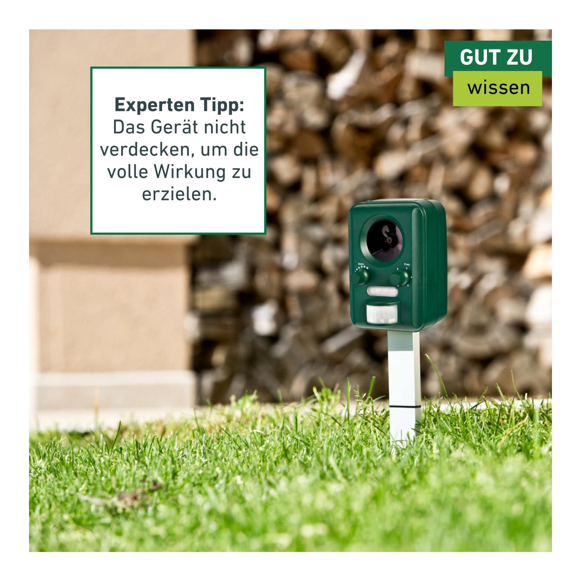 Windhager Chasse-animaux Guard Solar