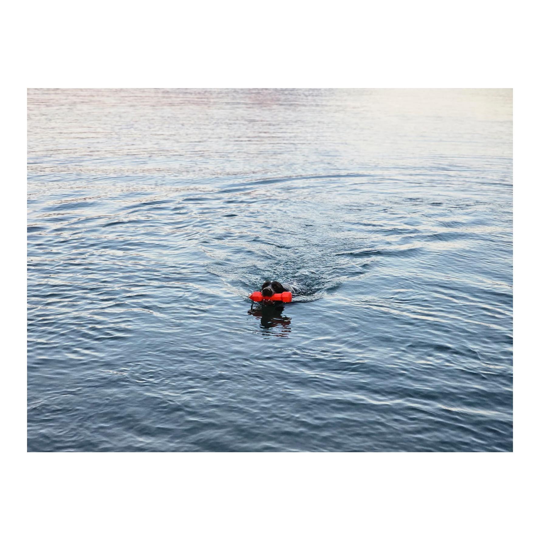 Apportierdummy Balance Bumper 320g