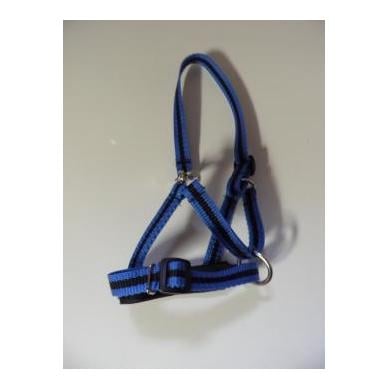 Alpaka Halfter zweifarbig