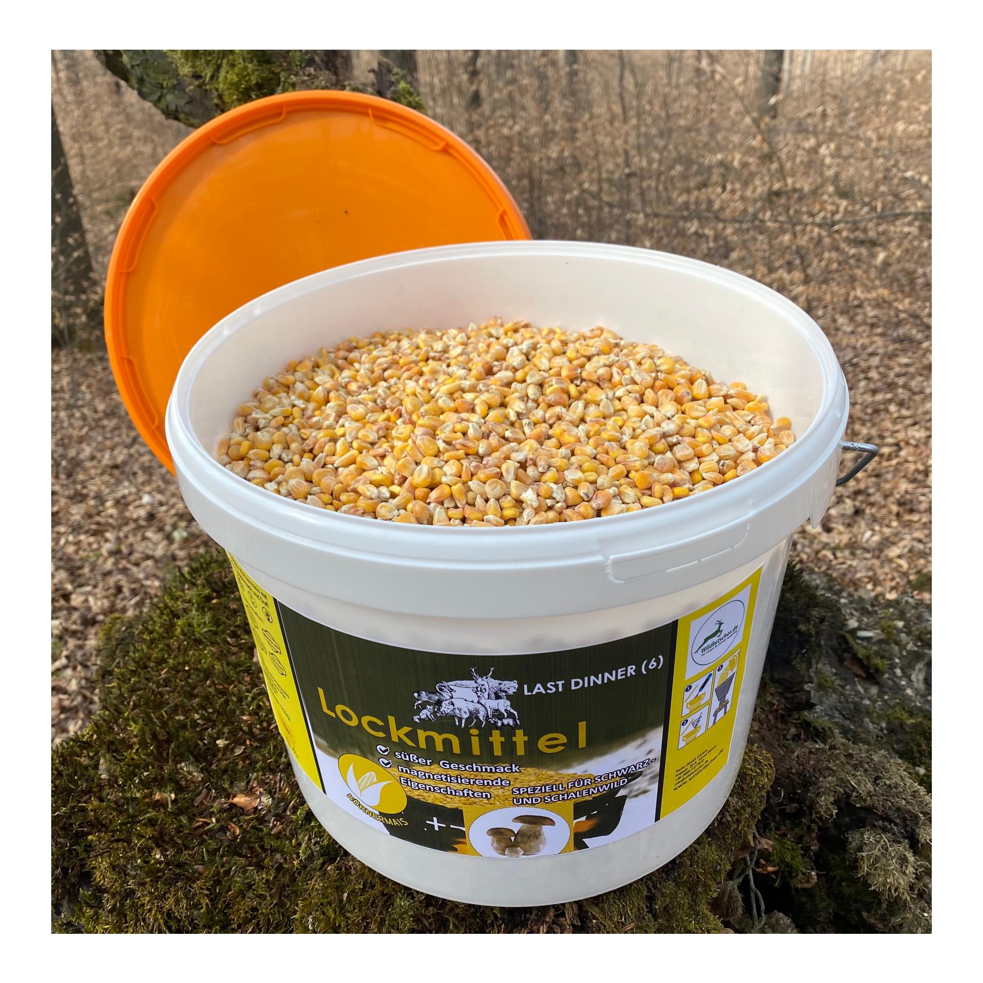 Last Dinner Nr. 6 Mais mit Pilz Duft/Geschmack