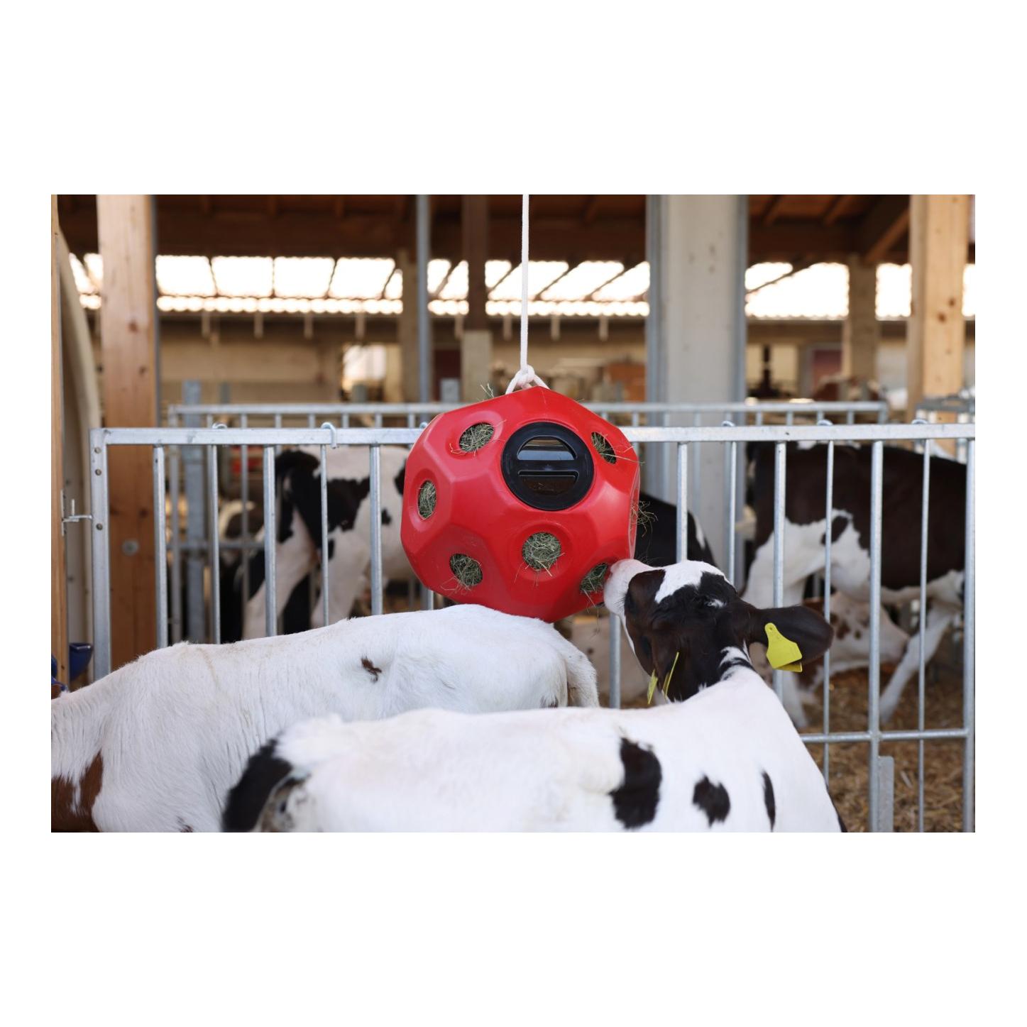 HeuBoy Futterspielball - blau