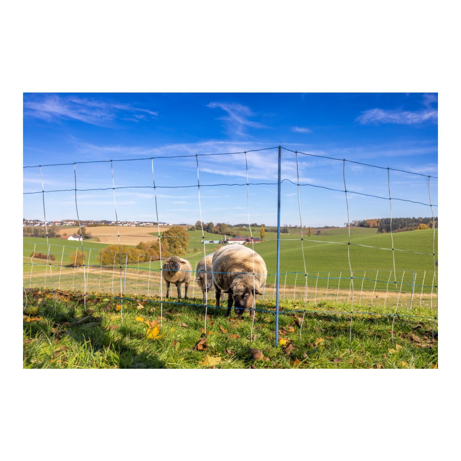 AKO Weidenetz Titan Light Premium - Einzelspitz