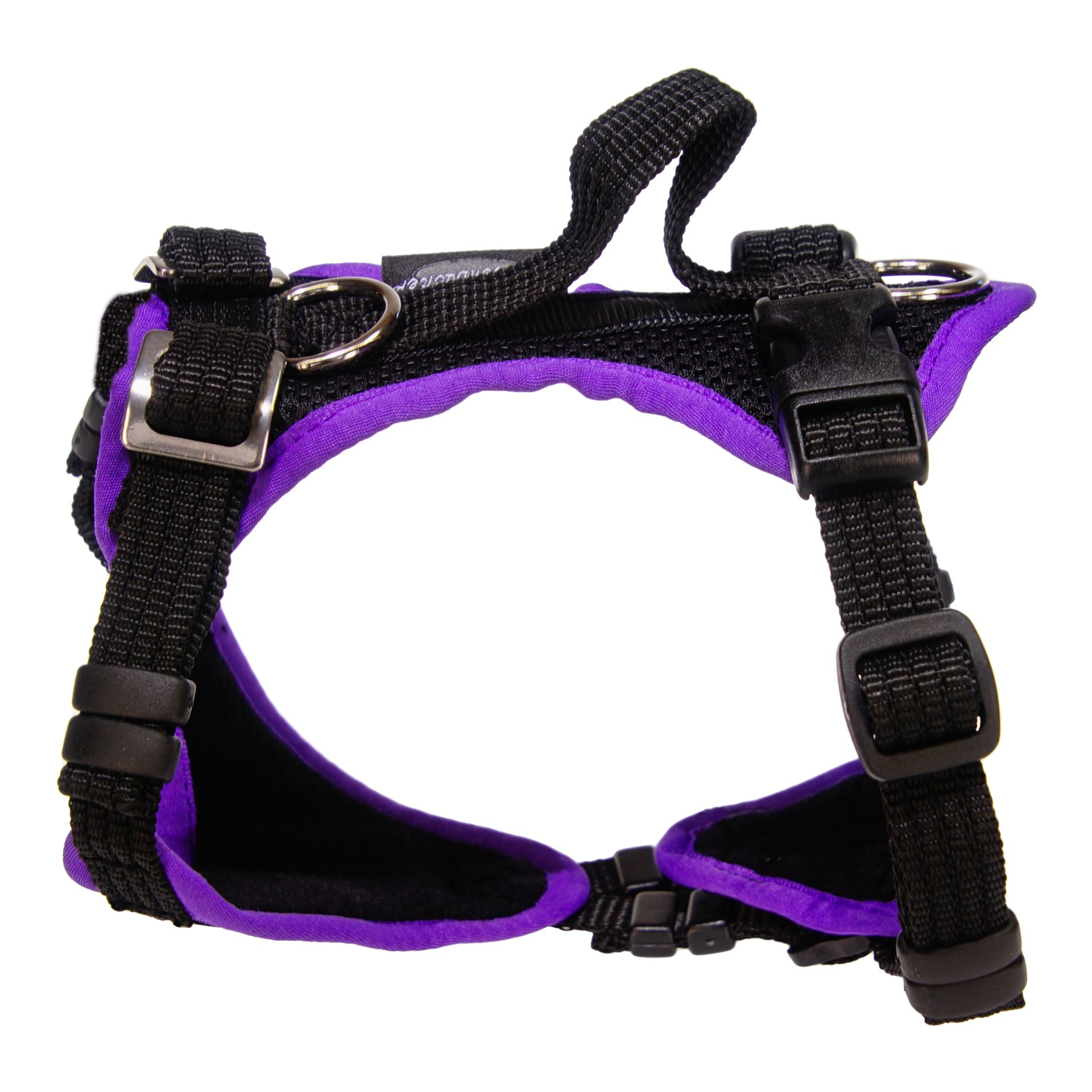 Image of Beat Grossenbacher Welpengeschirr Puppy - Schwarz/Violett - bei Hauptner.ch