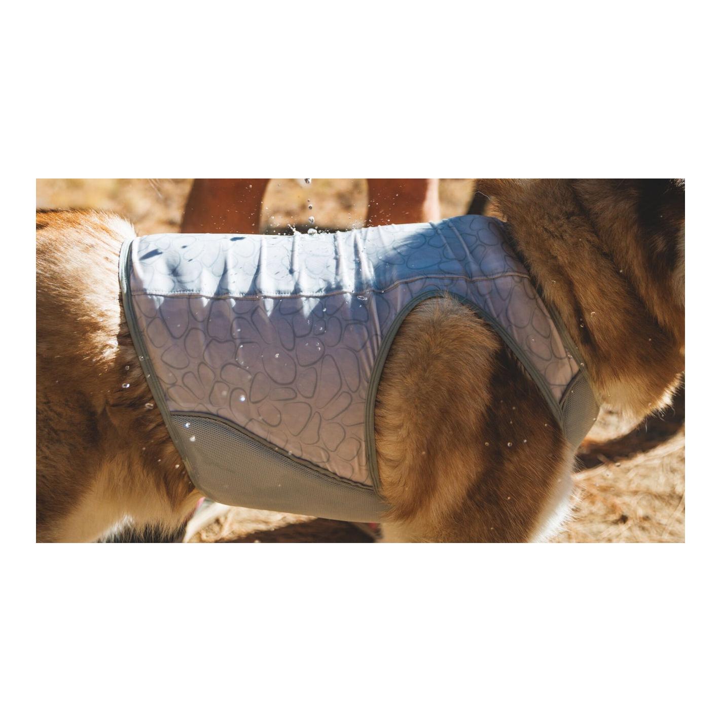 Kühlende Hundeweste Swamp Cooler Zip