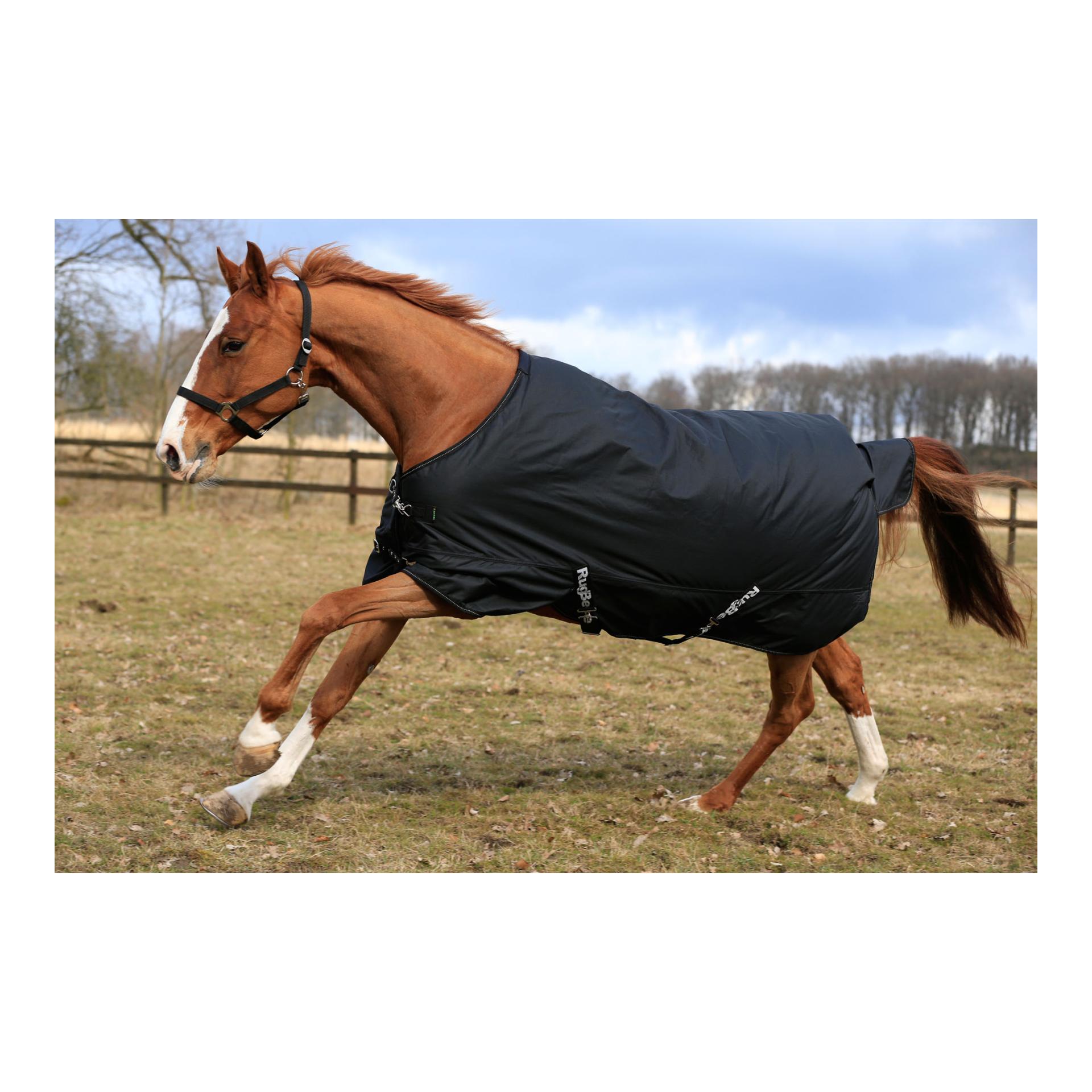 Image of Kerbl Winterdecke IceProtect 200g - schwarz bei Hauptner.ch