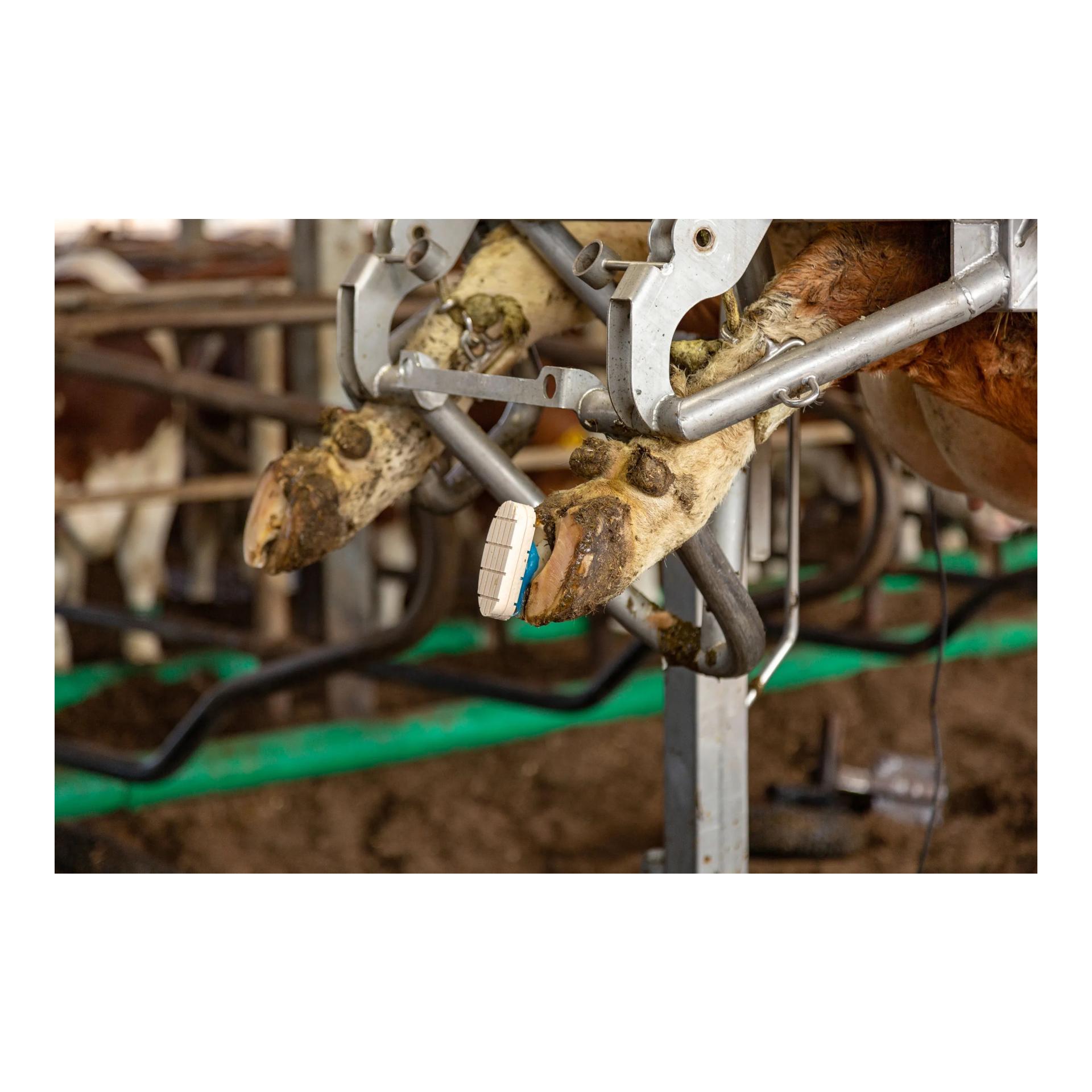 Kerbl 2-Komponenten-Kleber Farmerset Technobase 2CB