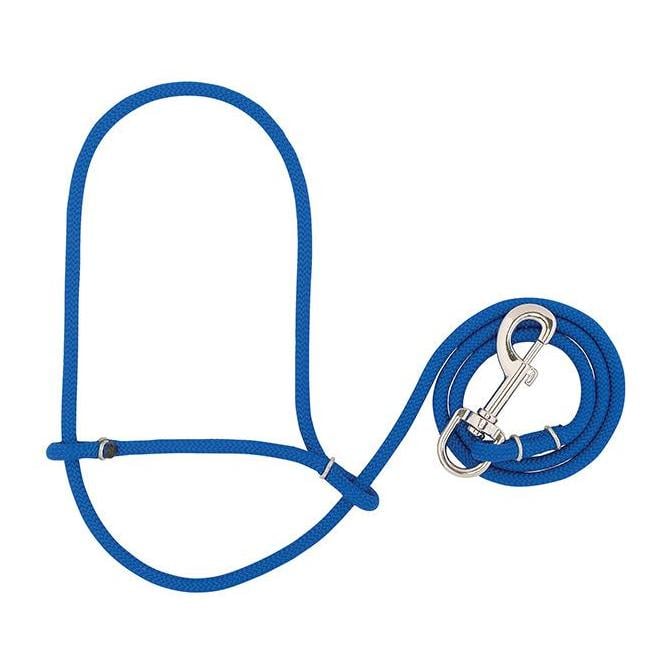 Image of Weaver Livestock Seilhalfter Schaf/Ziege - Royalblau - bei Hauptner.ch