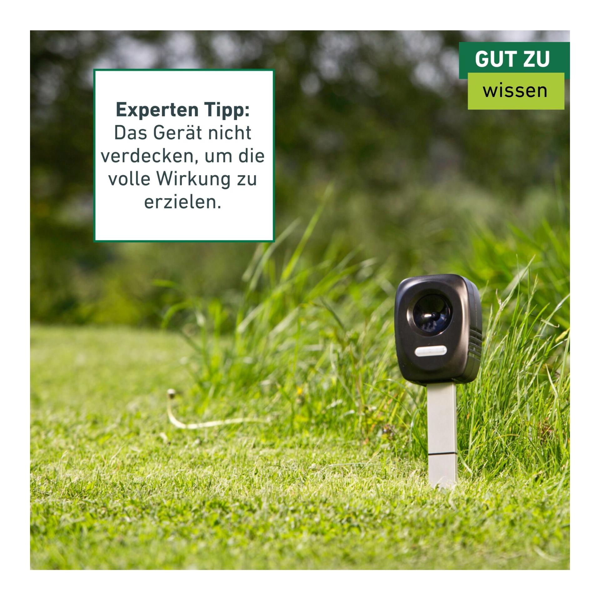 Windhager Appareil « Ultrasonic » pour éloigner chiens, chats et martres