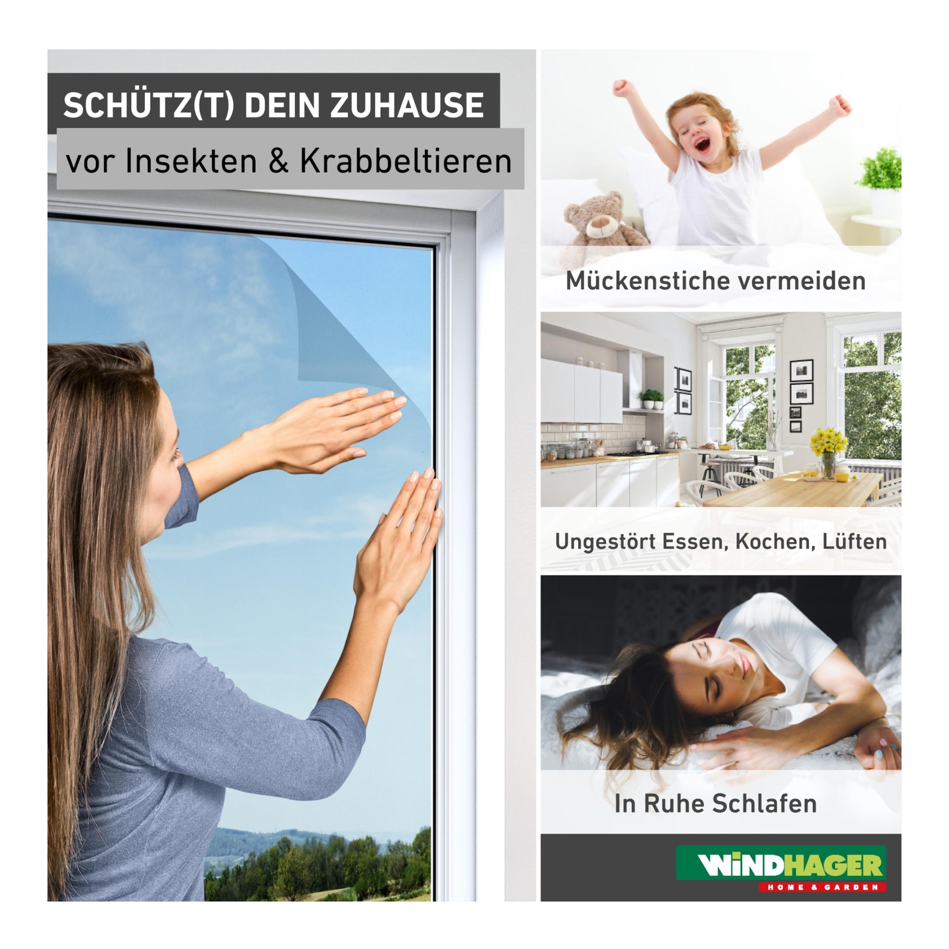 Windhager Fliegengitter Standard für Fenster - anthrazit