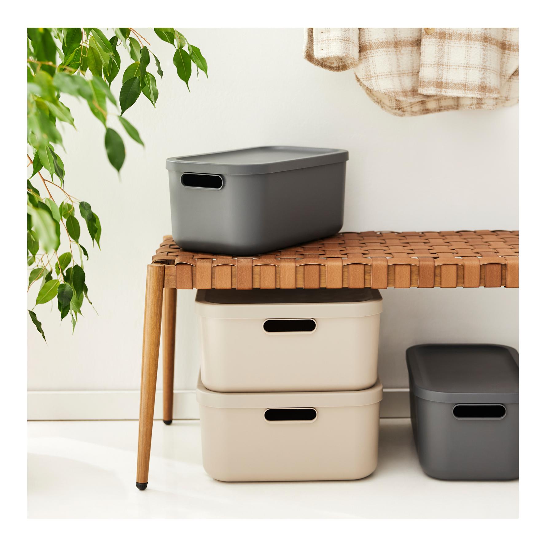 Rotho ALBULA LIGHT 12 litres